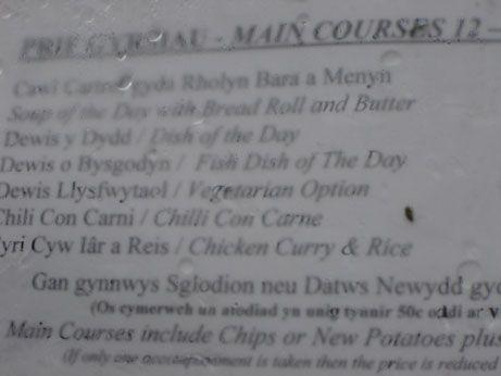 The vegetarian menu option