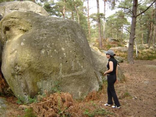 Not bouldering at Fontainebleau